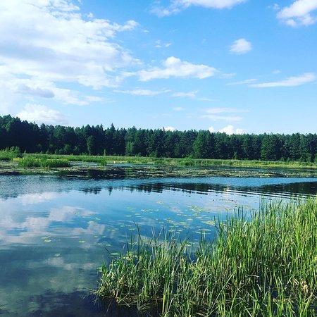 Stanica Wodna Płaska